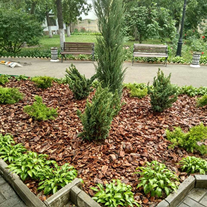 Хвойная мульча в Коврове купить - оперативная доставка по всей России