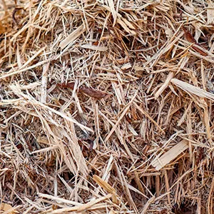 Щепа для арболита оптом в Коврове и других различных марок заказать от 16 тонн