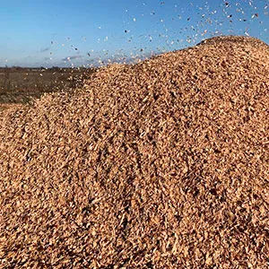 Щепа топливная оптом в Коврове от завода-производителя Лигнум Ресурс